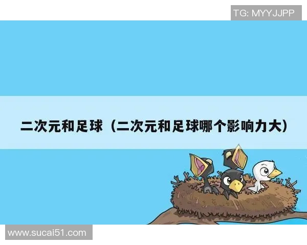 足球明星个人能力的全面解析与影响力探讨