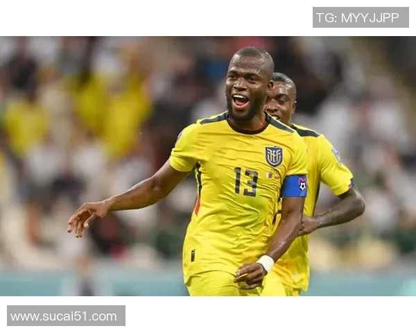 厄瓜多尔足球明星盘点及其在国际赛场上的辉煌成就